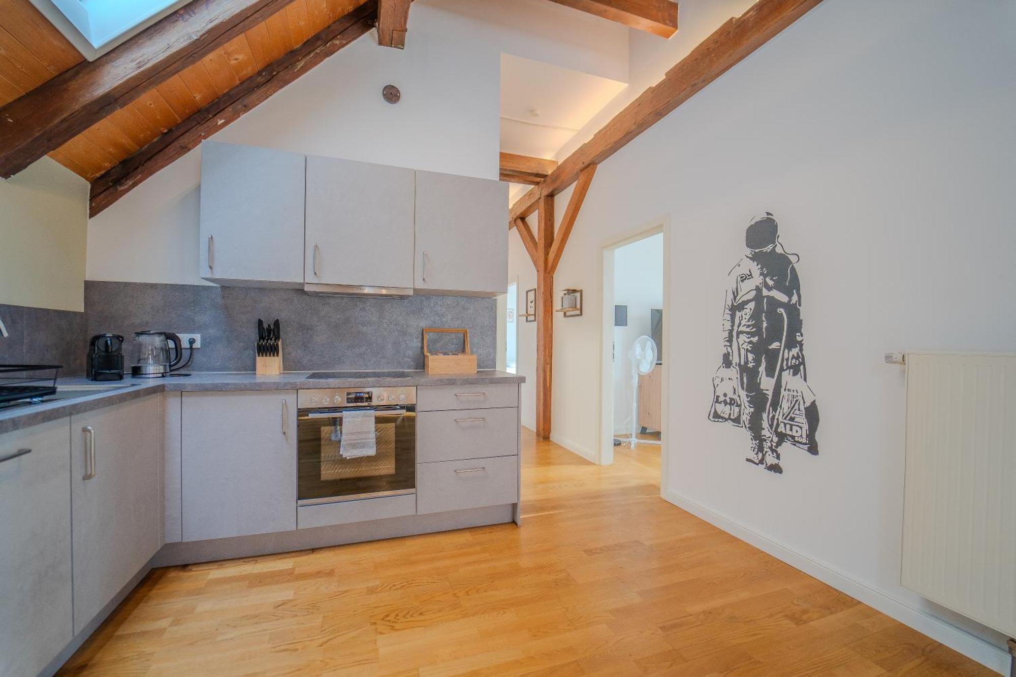Luxomes - Streetart Old Town Apartment- Apartment Ingolstadt